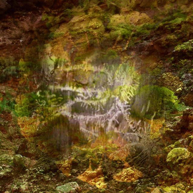 wandering cover art