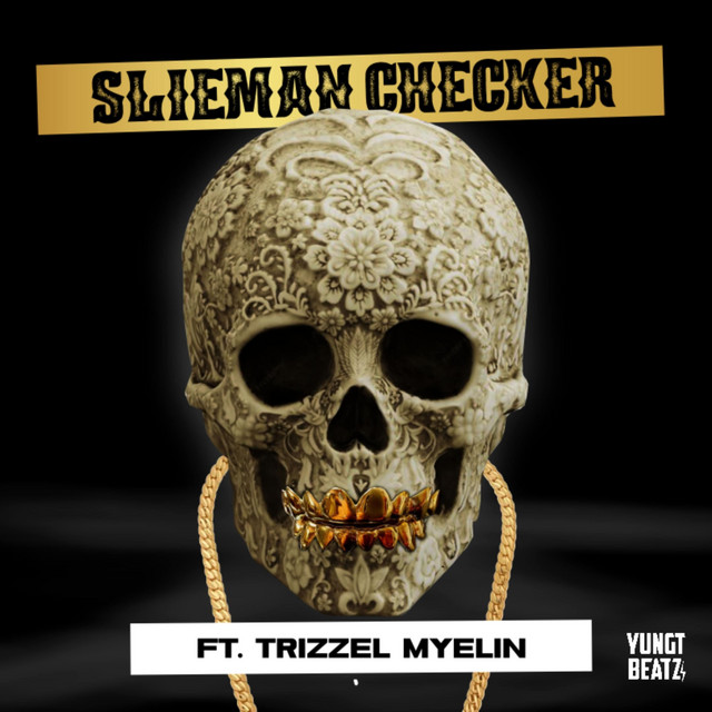 Slieman Checker