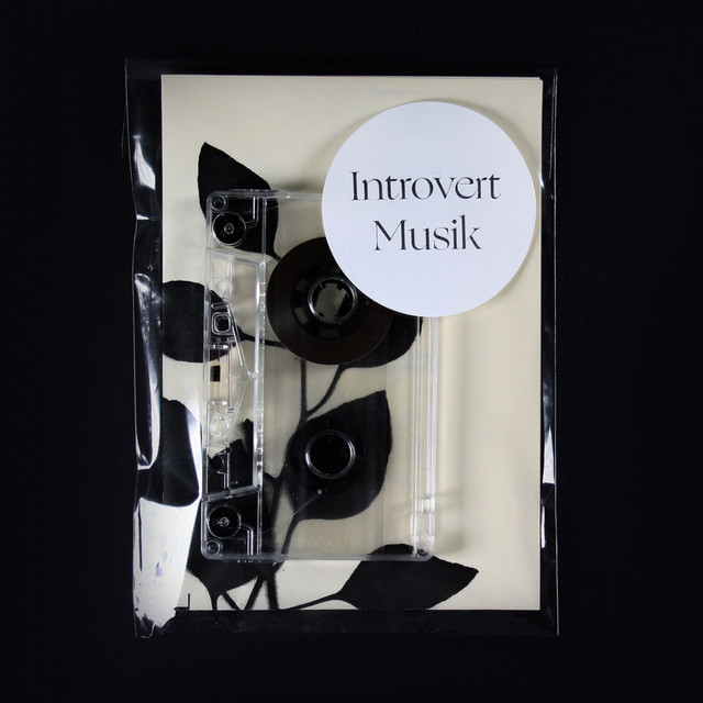 Introvert Musik cover art