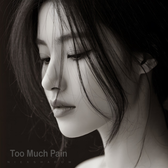 Too Much Pain - Album by NiExshadow | Spotify