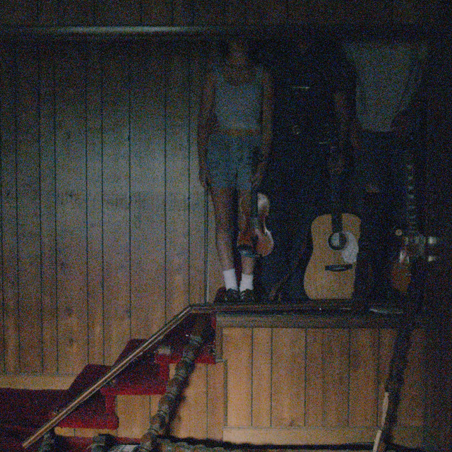 Dogs on the Stairs