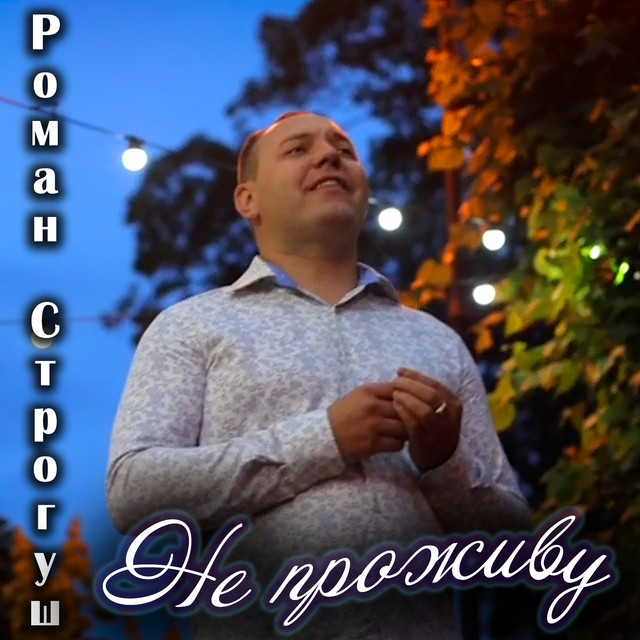 Обкладинка: Не проживу — Роман Строгуш