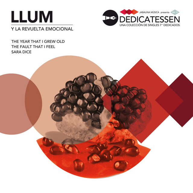 Llum y la Revuelta Emocional cover