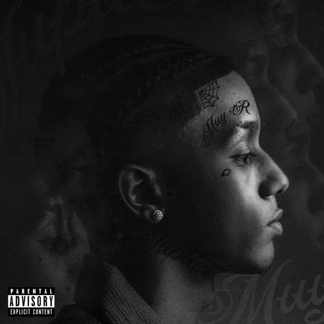 DE NIVEL cover art
