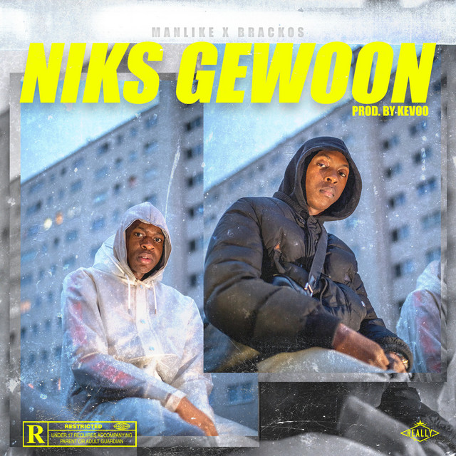 Niks Gewoon