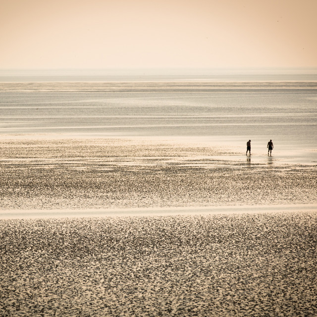 This Tide Will Bring You Home