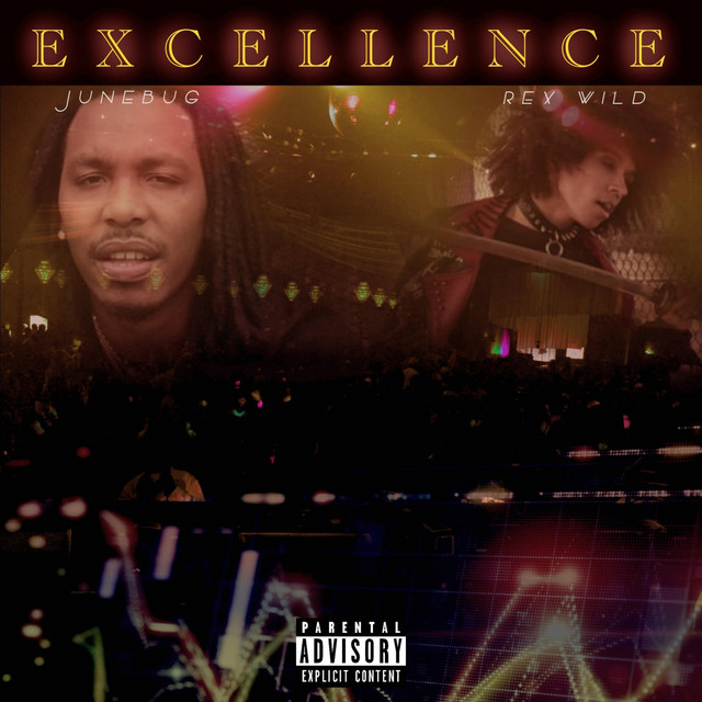 Excellence cover