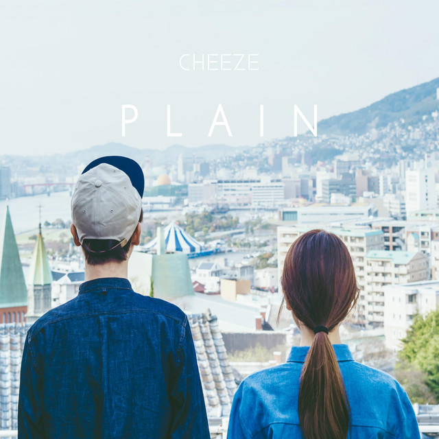 Plain cover