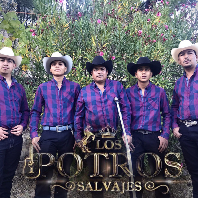 Los Potros Salvajes
