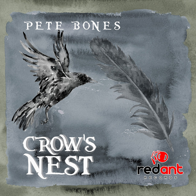 Crow's Nest cover art