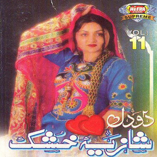 Do Dil, Vol. 11 cover art