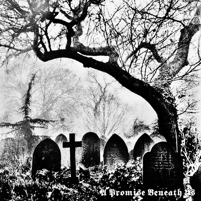 A Promise Beneath Us