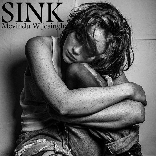 SINK cover art