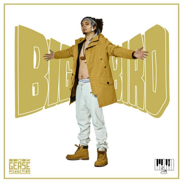 Big Bird cover art