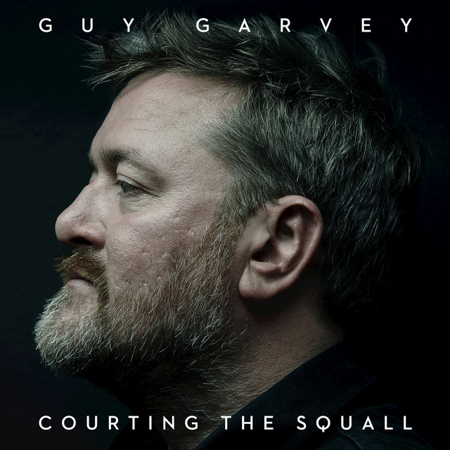 Courting The Squall cover art