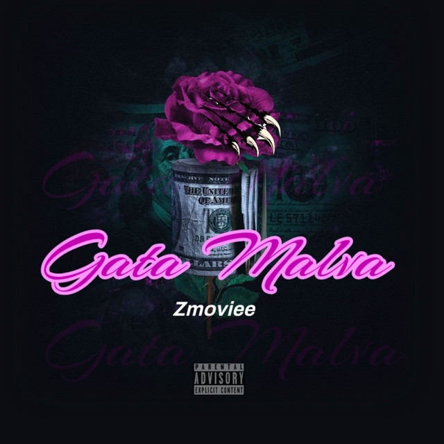 Gata Malva