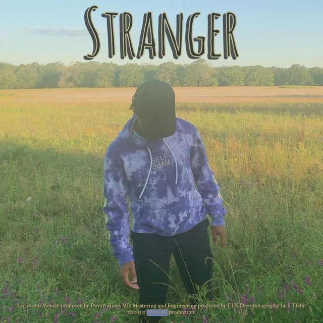 Stranger cover art