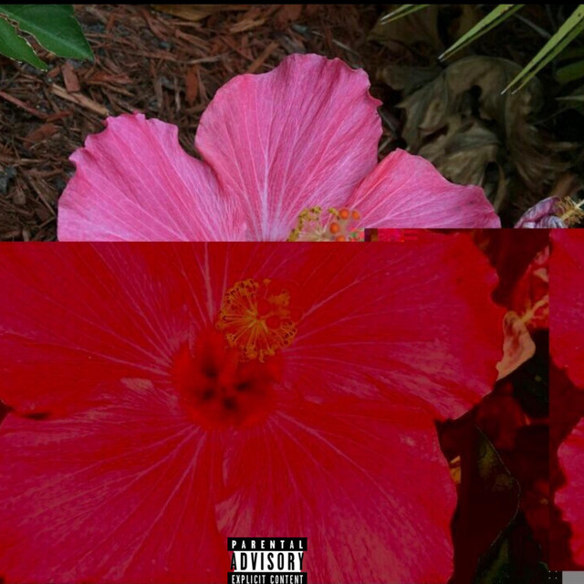 idek cover art