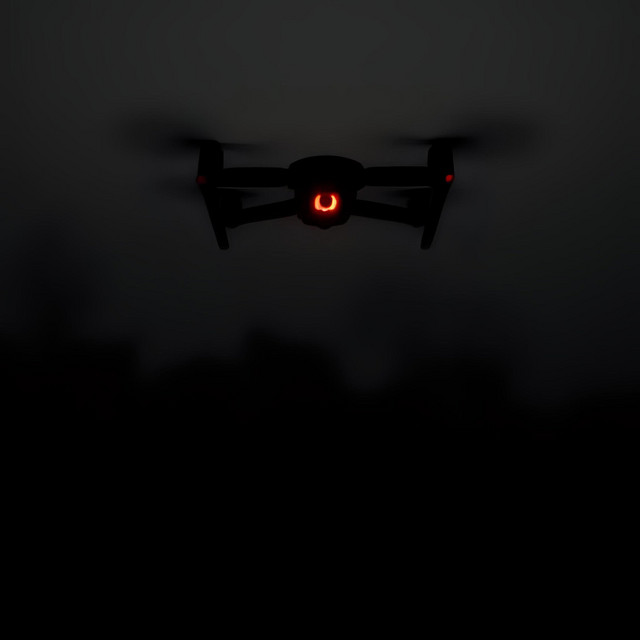 Drone Lust cover