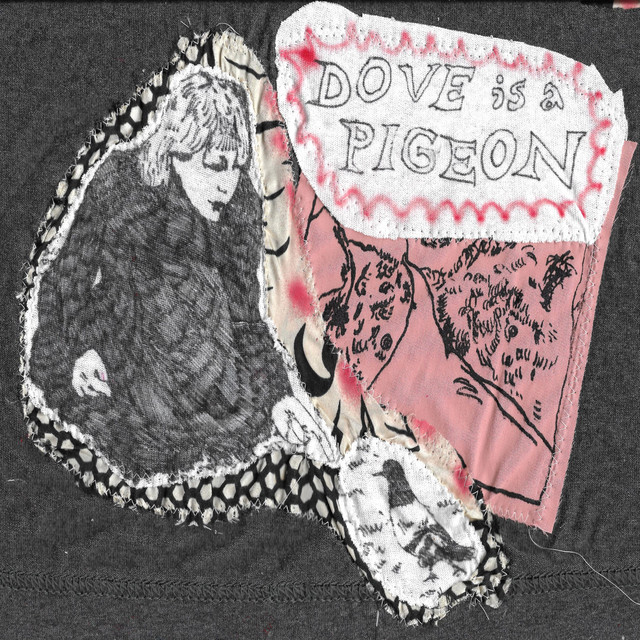 Dove is a Pigeon cover art