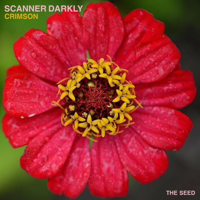 Crimson cover art