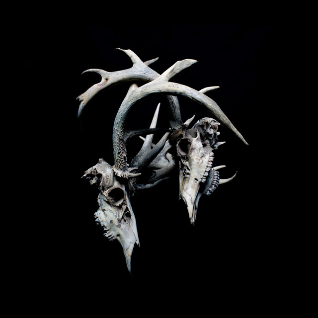 Open Relationships cover art