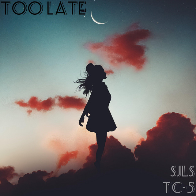 Too Late cover