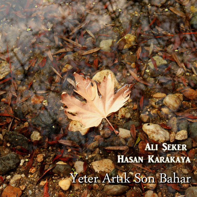 Ali Şeker