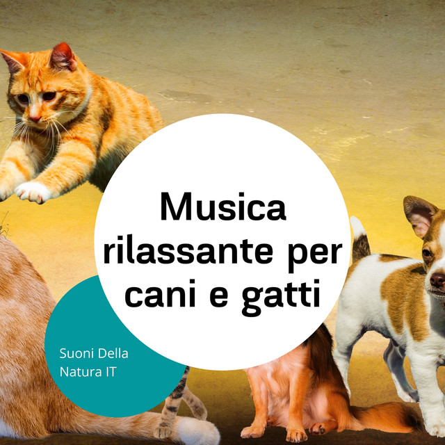 Musica rilassante per cani e gatti cover art
