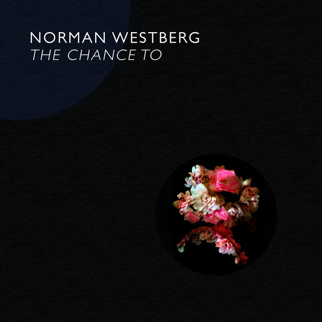 The Chance To cover art