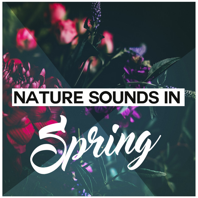Nature Sounds in Spring - Album by Nature Sounds | Spotify