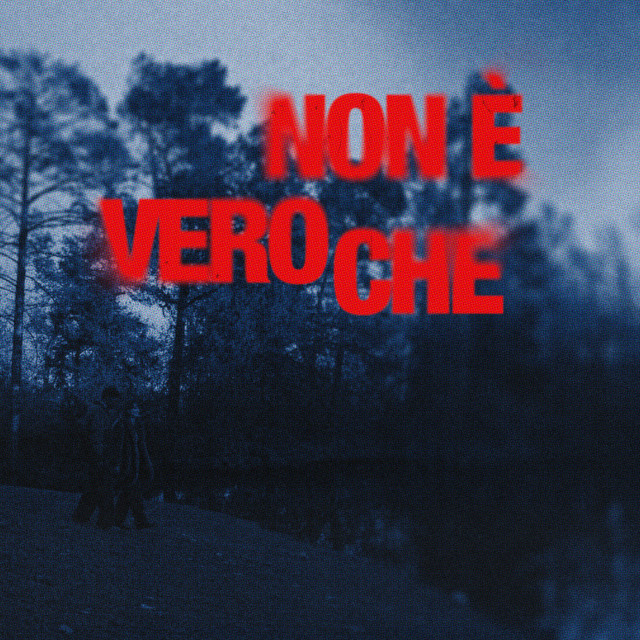 NON È VERO CHE