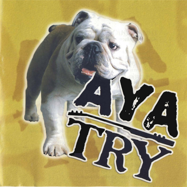 TRY cover art