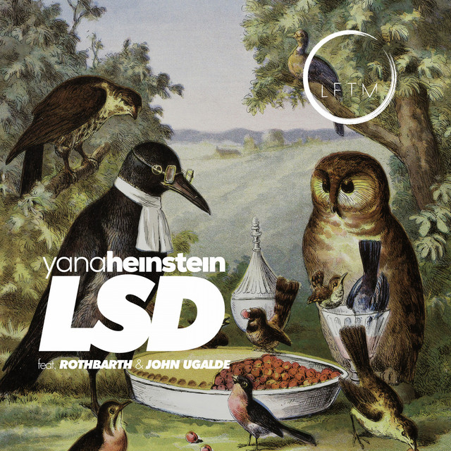 Lsd (16 Pappen sind ein Bild) cover art