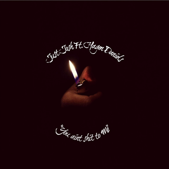 You Ain't Shit to Me - Single by Just Josh | Spotify