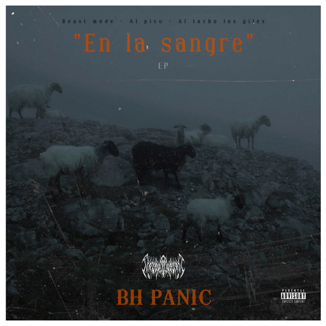 Bh Panic