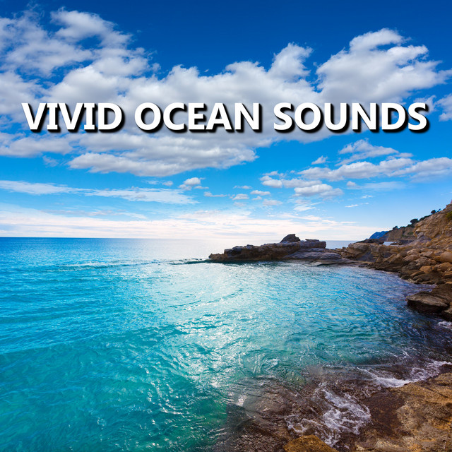 Vivid Ocean Sounds cover art