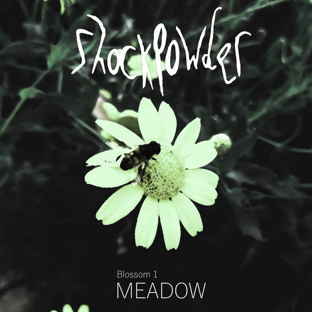 Meadow (single)