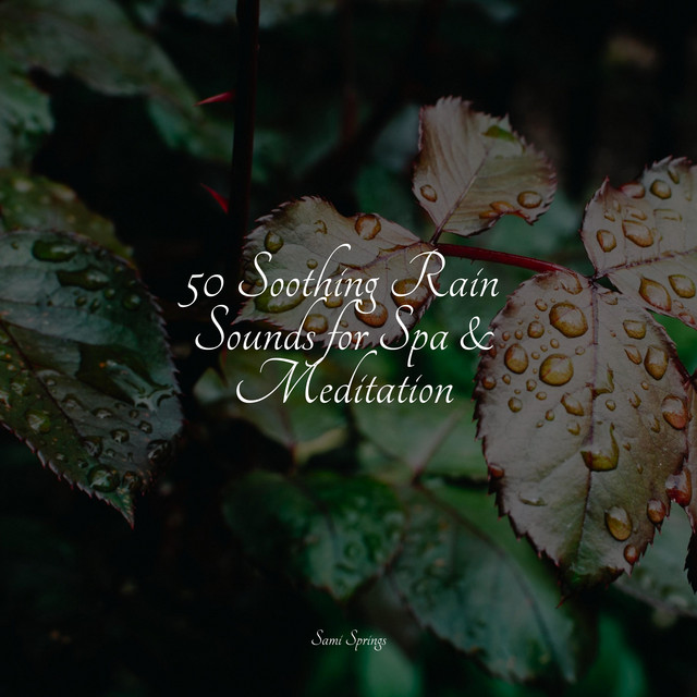 50 Soothing Rain Sounds for Spa & Meditation - Album by Nature & Sounds ...