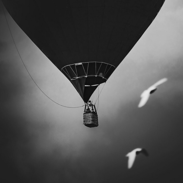 Homeward Journey cover art