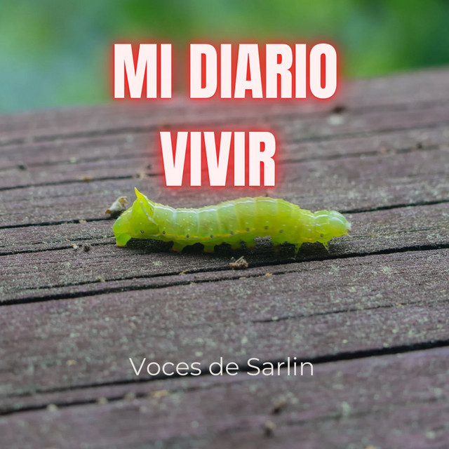 Voces De Sarlin