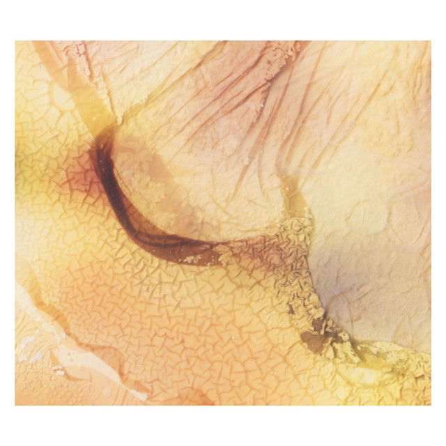 thoughts persist cover art