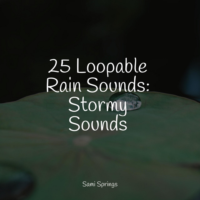25 Loopable Rain Sounds: Stormy Sounds - Album by Sounds of Nature ...