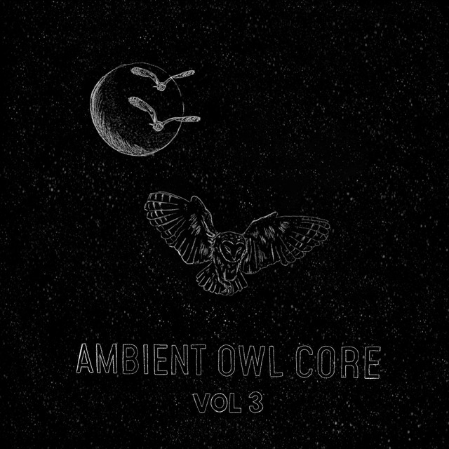 Ambient Owl Core (Vol 3) cover