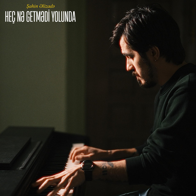 Heç nə getmədi yolunda cover art