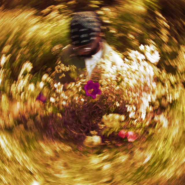 dehydrate - WOOLFSON Remix