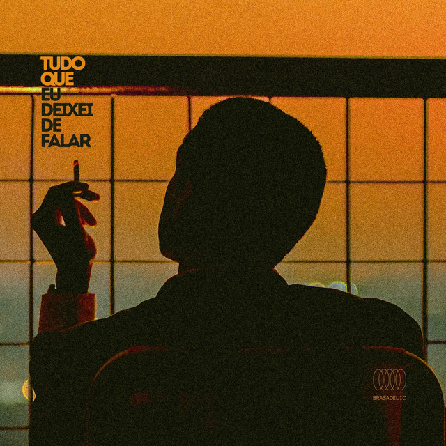Tudo Que Eu Deixei de Falar cover art