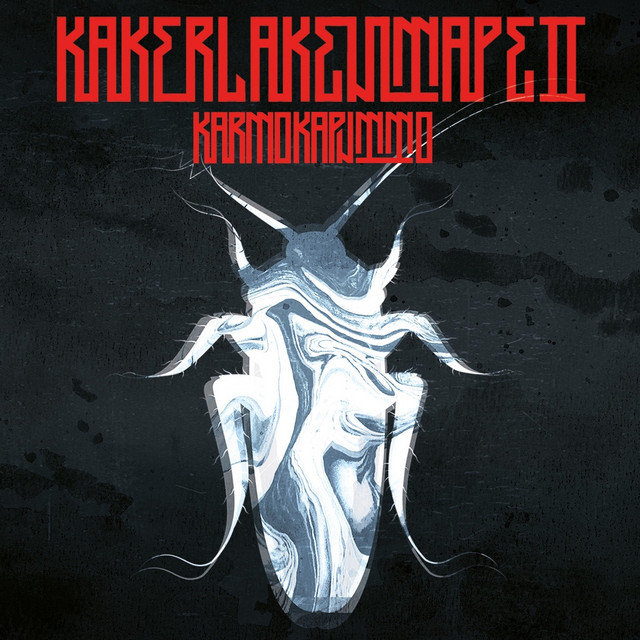 Kehrseiten cover art