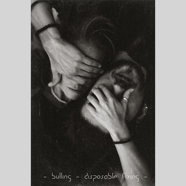 Обкладинка: Disposable Flying — BULLING