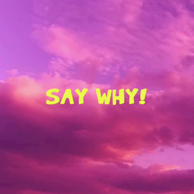 say why! - Single by LA$TROBOY | Spotify